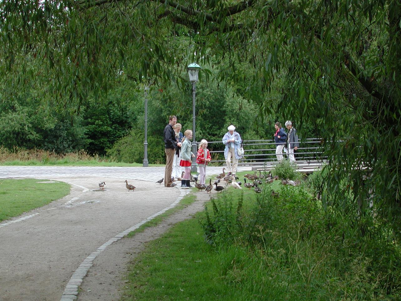 KPLU Viking Jazz: Feeding the ducks in Churchillparken