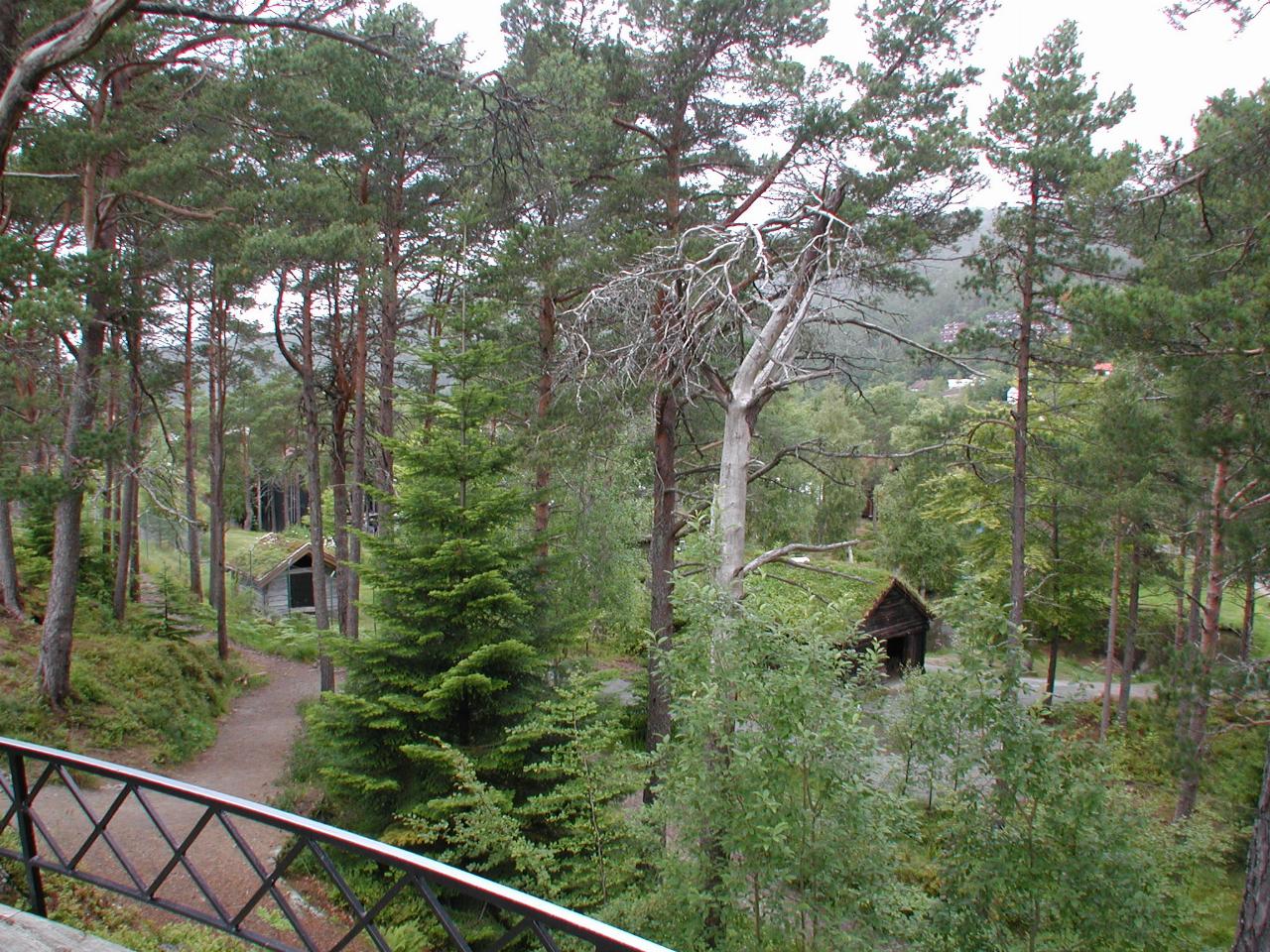 KPLU Viking Jazz: Looking into Romsdalmuseet from Reknes Park, Molde