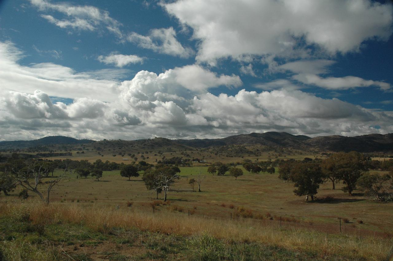 Green or brown pasture, trees and distant hills