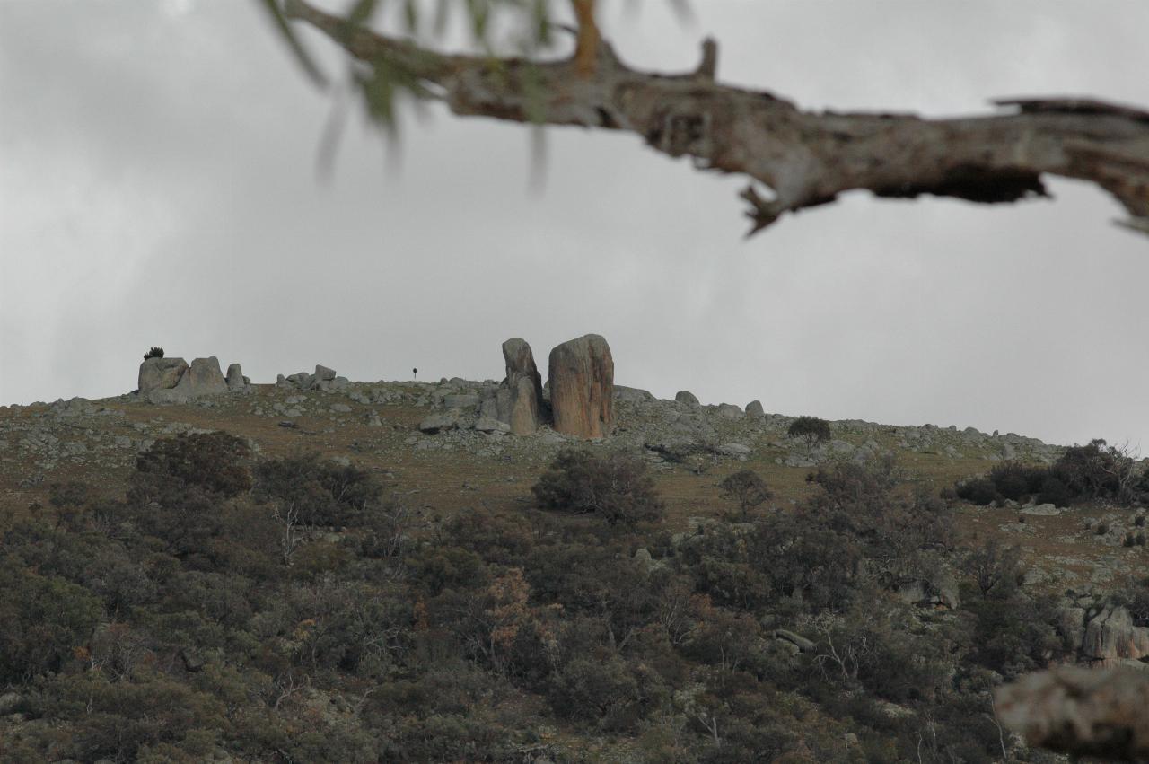 Cylindrical rocks sticking out of the ground on hill