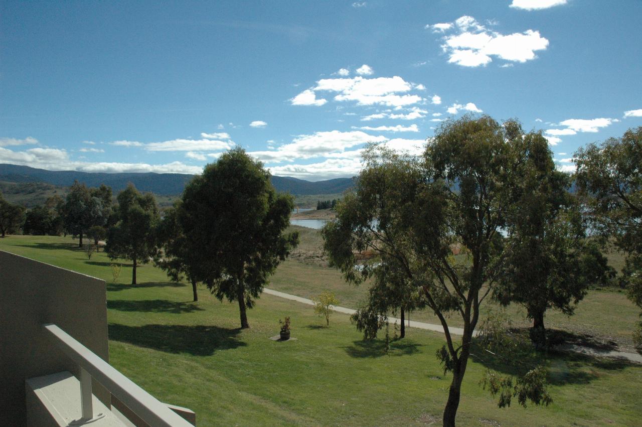 Green grass and trees, with distant lake scene