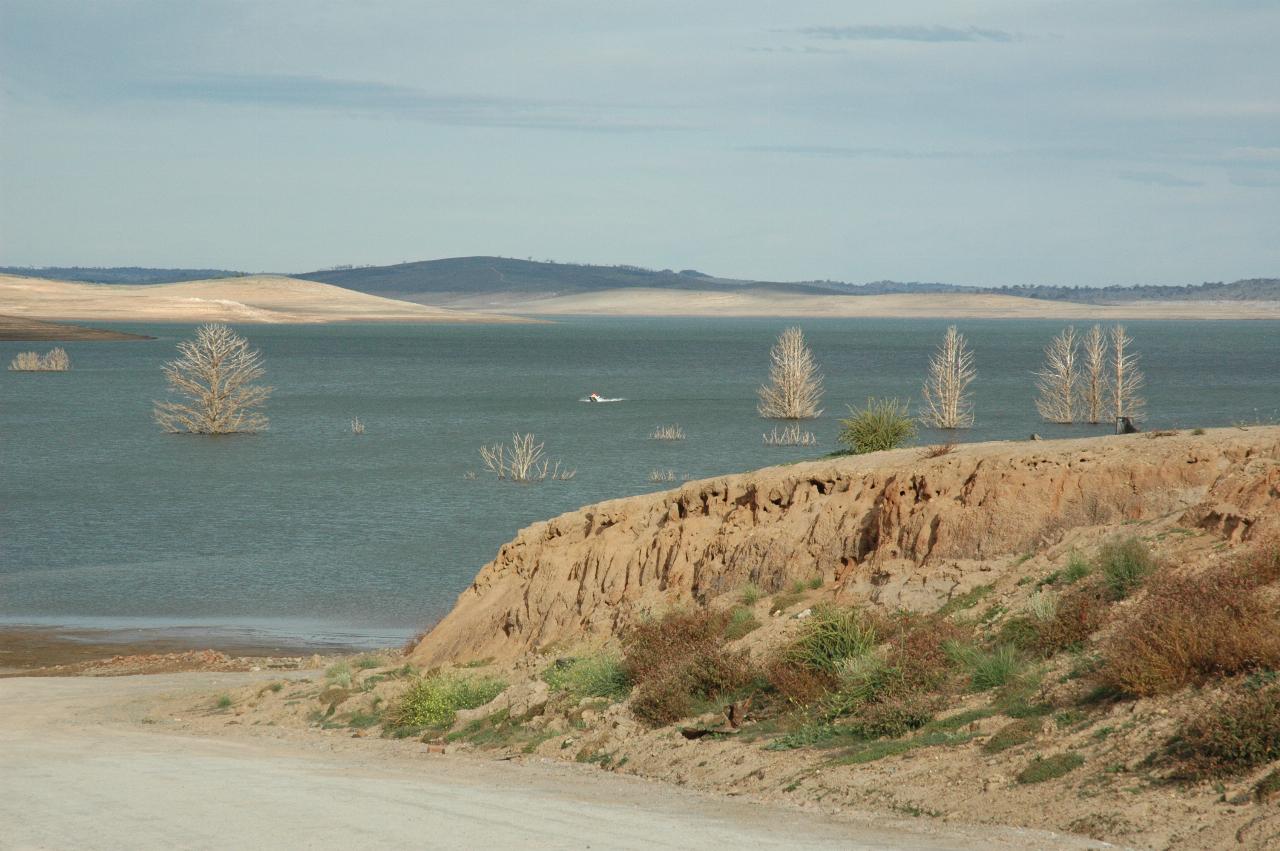 Low water level; drowned trees and boat