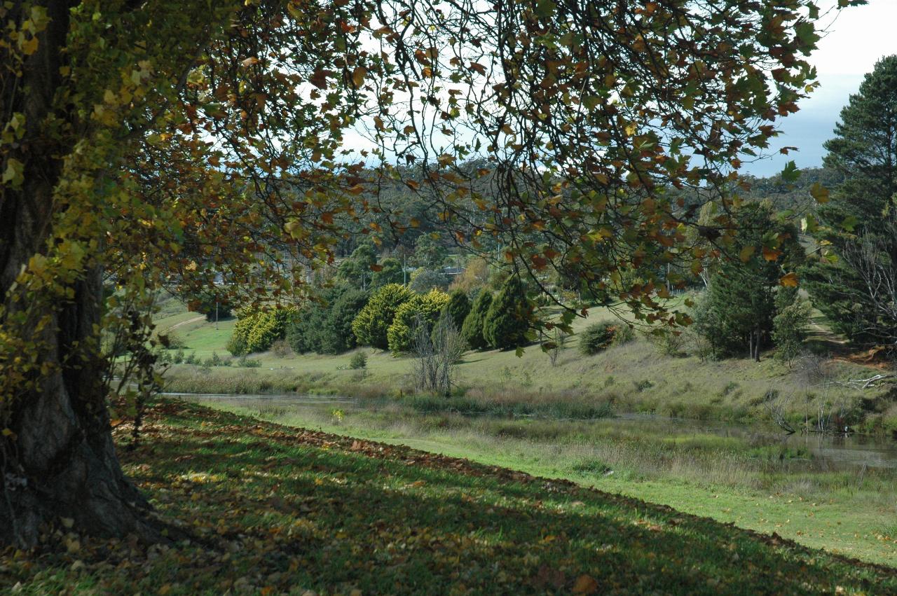 View across river to fields and trees on other side