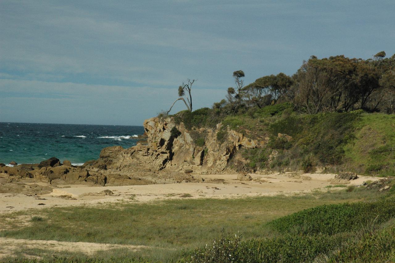 Rocky headland, bent over trees