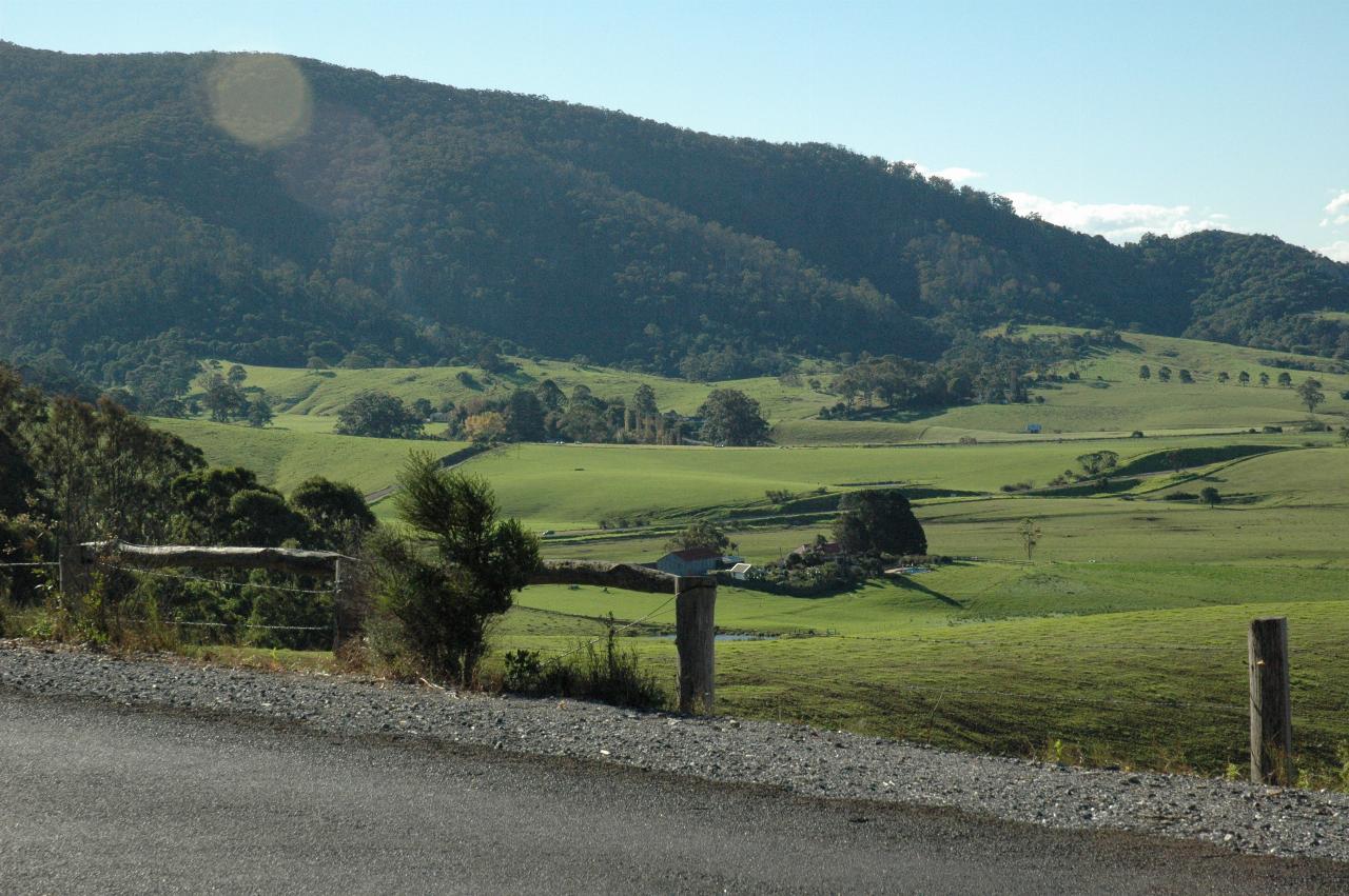 Green pastures in front of tree covered mountains